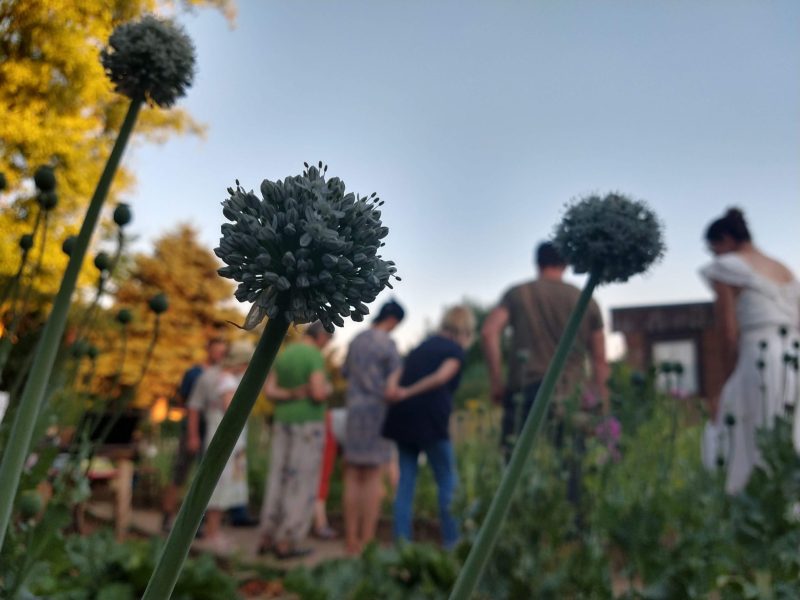 Gemeinschaft im Kleingarten